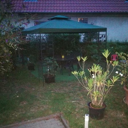 Ferienwohnung Am Finkenherd Dankerode  Bagian luar foto