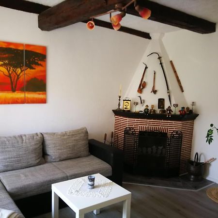 Ferienwohnung Am Finkenherd Dankerode  Bagian luar foto