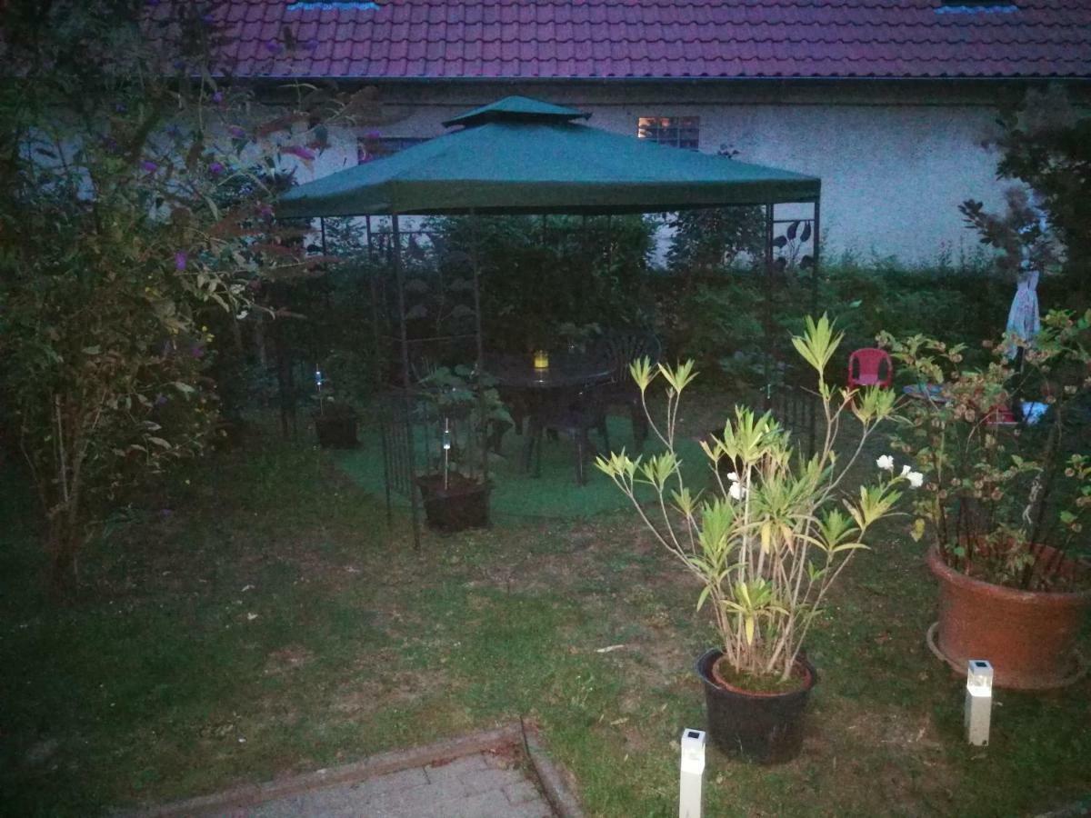 Ferienwohnung Am Finkenherd Dankerode  Bagian luar foto